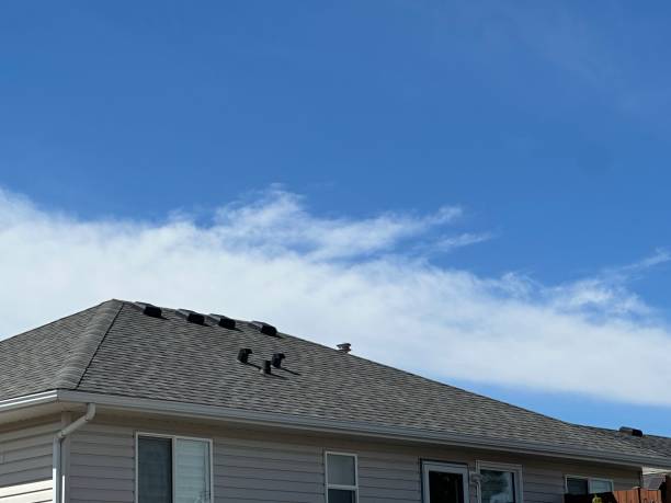 Trusted Manchester, TN Roof Repair & Installaion Experts